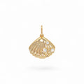 Charm Shell | 18k Gold Plated