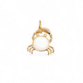 Charm Sea | 18k Gold Plated